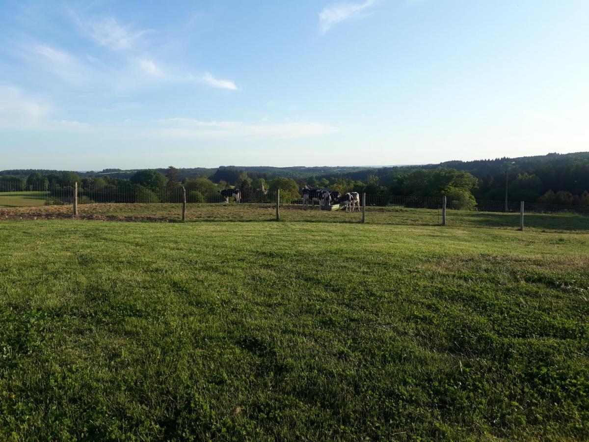 L'Harmonie du Jardin Gîte Chevetogne Extérieur photo