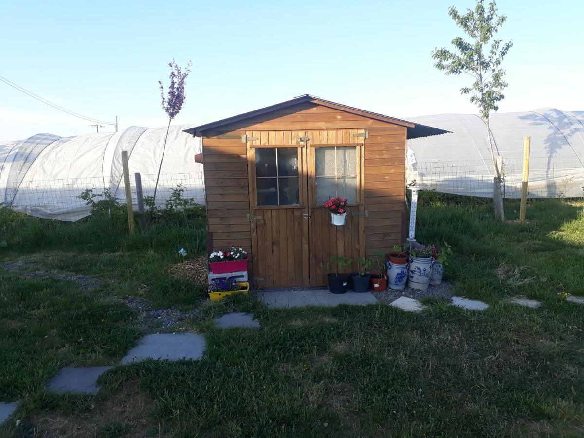 L'Harmonie du Jardin Gîte Chevetogne Extérieur photo